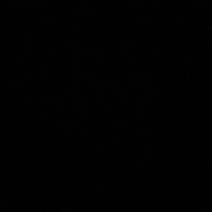 DND(DO NOT) (Explicit)