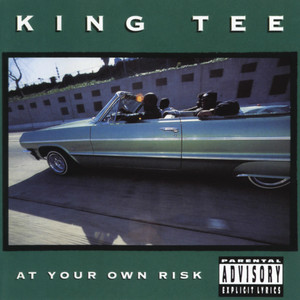 At Your Own Risk (Explicit)