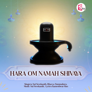 Hara Om Namah Shivaya