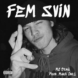 FEM SVIN (Explicit)