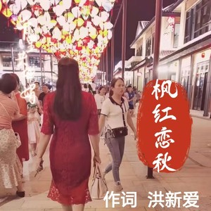 秋雨送别最后的晚秋