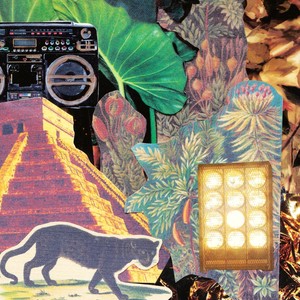 La Selva Se Lo Llevo (feat. Shary Rose)