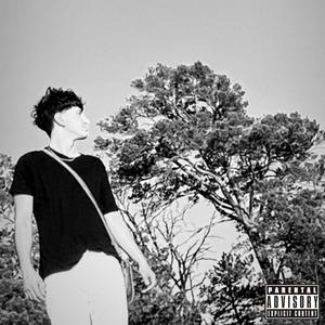 Tehtiin! (feat. AbiShake & Sh4dove) (Explicit)