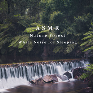 夜晚的山林小溪流水声