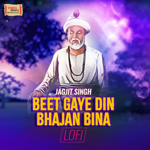 Beet Gaye Din Bhajan Bina (LoFi)