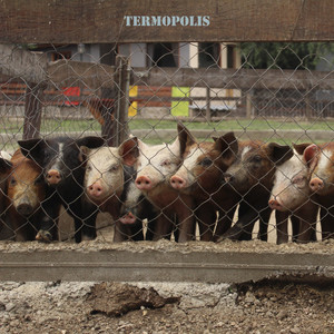 Termopolis