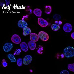Self Made