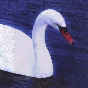 Swansong (Blind Innocence)