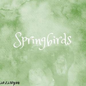 Springbirds (feat. Anders Gerup)