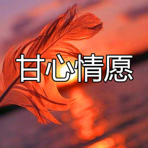 甘心情愿