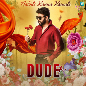 Naidile Kannada Komale (From "Dude")