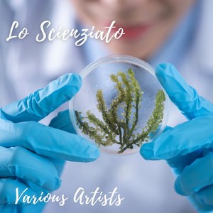 Fascination (Slow waltz)