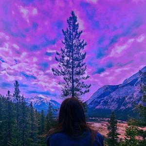 Manifest