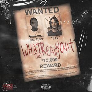 What They Really Want(feat. GSav) (Explicit)