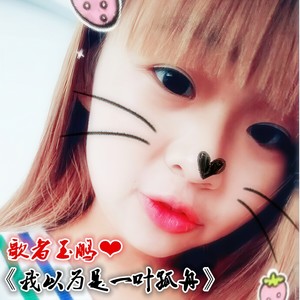 我以为是一叶孤舟 (DJ版)