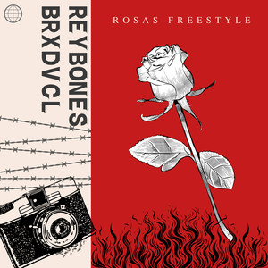 Rosas Freestyle