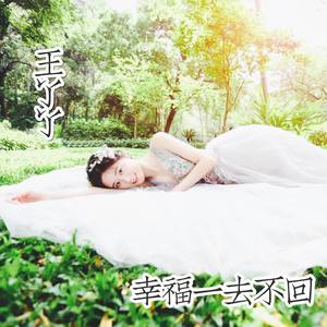 幸福一去不回