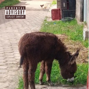 Burrinho