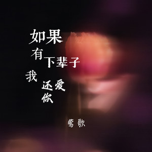 如果有下辈子我还爱你