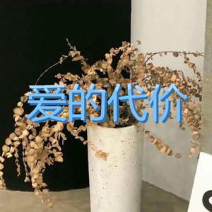 我终于活成了你想要的样子
