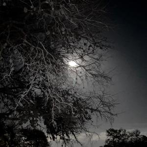 Purpp (feat. R.U.L.A) (Explicit)