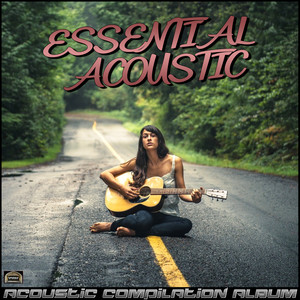 Essential Acoustic Acoustic Compilation Album