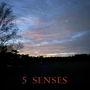 5 SENSES (Explicit)