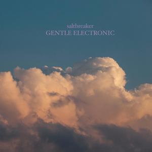 Gentle Electronic