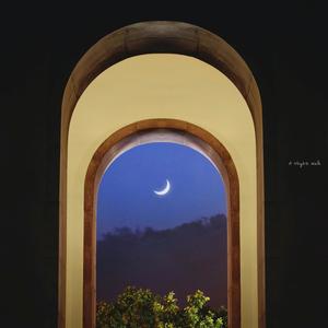 밤 산책 (A Night Walk)