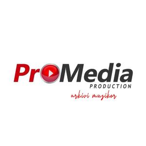 Pro Media