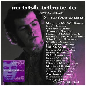 Can I Get There By Candlelight?: An Irish Tribute to David McWiliams