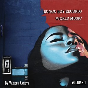 Bongo Boy Records World Music, Vol. 1
