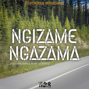 Ngizame ngazama (feat. Beekay the vocalist & Pleexure spirts) [Explicit]