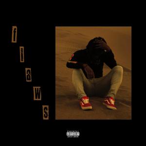 flaws (feat. Aco Draco) [Explicit]