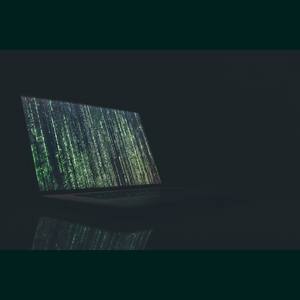 网线那边的怪兽（ins.请不要使用）