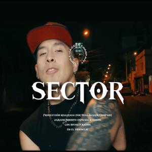 Sector (feat. Mc Lehov & Bull Jagger) [Explicit]