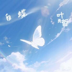 白蝶