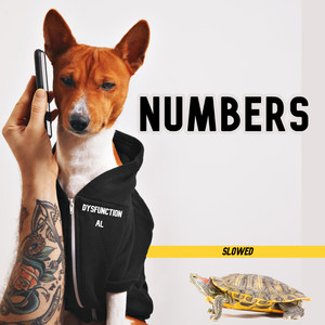 Numbers(Slowed)