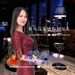 娘子-我还没爱够你却远走 (伴奏)