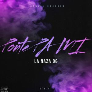 Ponte PA MI (Explicit)