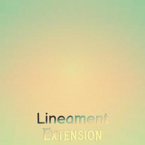 Lineament Extension