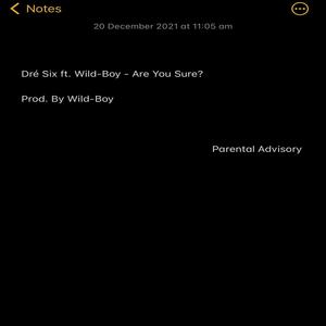 Are You Sure? (Explicit)