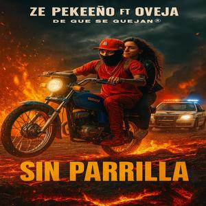 R SIN PARRILLA (feat. oveja produce)