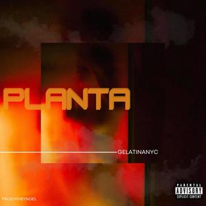 PLANTA (Explicit)