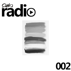 SiiVKM Radio 002