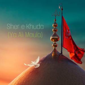 Sher e Khuda (Ya Ali Maula)