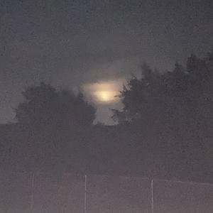 Fragile (feat. Tay THG)