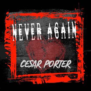 Never Again (Explicit)