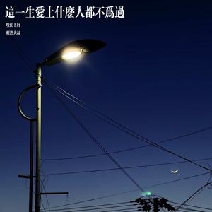 这一生爱上什么人都不为过 (咬住下唇)