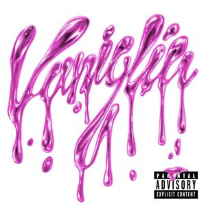 VANIGLIA (feat. Fin) (Explicit)